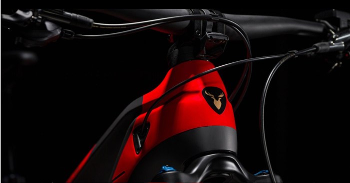 Screenshot 2022-01-16 at 09-06-15 ROTWILD R X750 ULTRA Der Gipfelstürmer